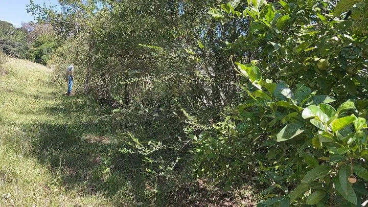 Sítio à venda de 14 ha em Caraá, RS, Brasil