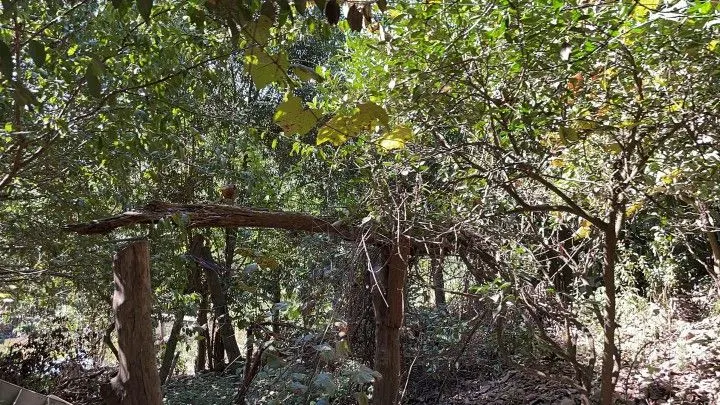 Sítio à venda de 14 ha em Caraá, RS, Brasil