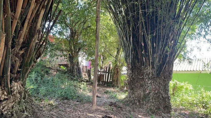 Sítio à venda de 14 ha em Caraá, RS, Brasil