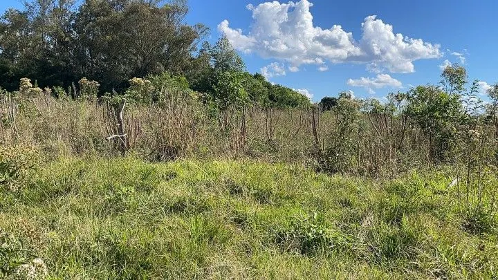 Sítio à venda de 14 ha em Caraá, RS, Brasil