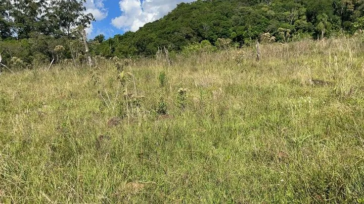 Sítio à venda de 14 ha em Caraá, RS, Brasil