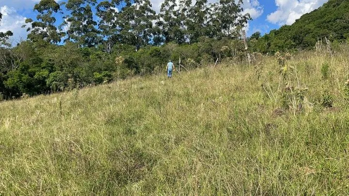 Sítio à venda de 14 ha em Caraá, RS, Brasil
