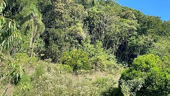 Sítio à venda de 14 ha em Caraá, RS, Brasil