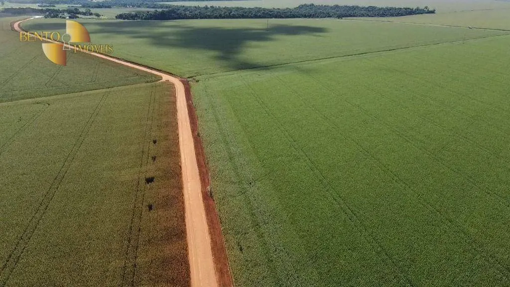Fazenda à venda de 1.240 ha em Nova Mutum, MT, Brasil