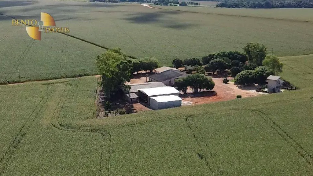 Fazenda à venda de 1.240 ha em Nova Mutum, MT, Brasil