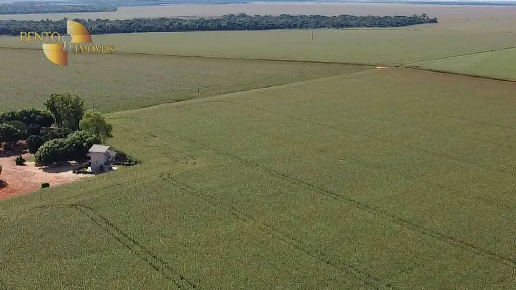Fazenda à venda de 1.240 ha em Nova Mutum, MT, Brasil