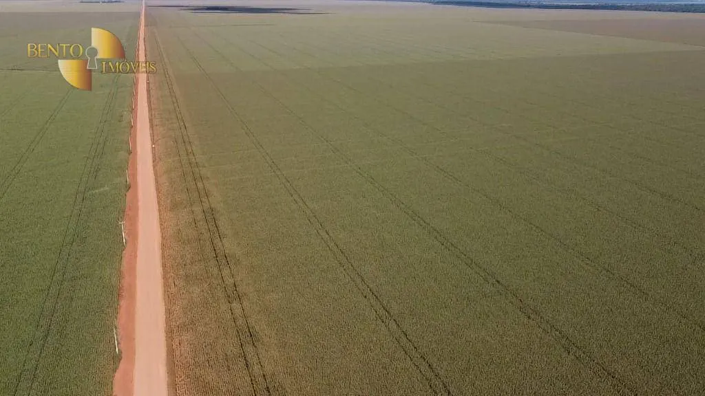 Fazenda à venda de 1.240 ha em Nova Mutum, MT, Brasil