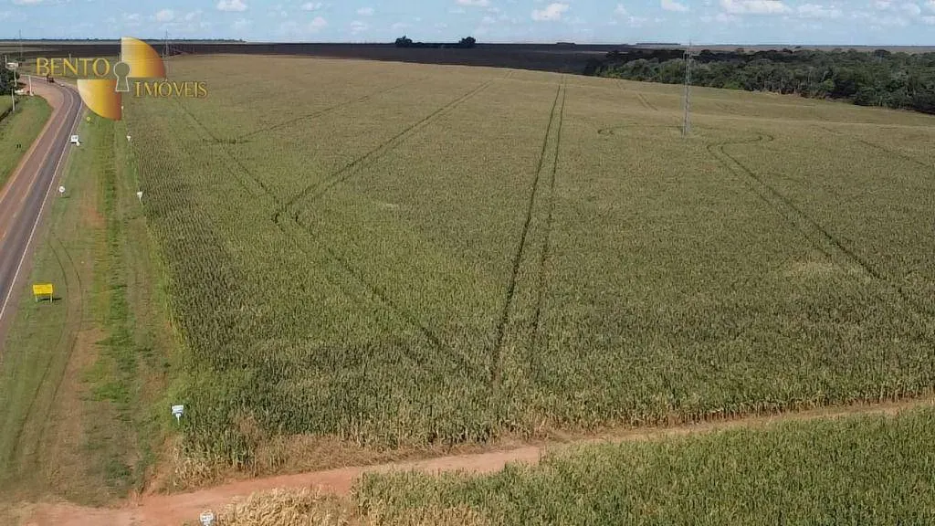 Fazenda à venda de 1.240 ha em Nova Mutum, MT, Brasil