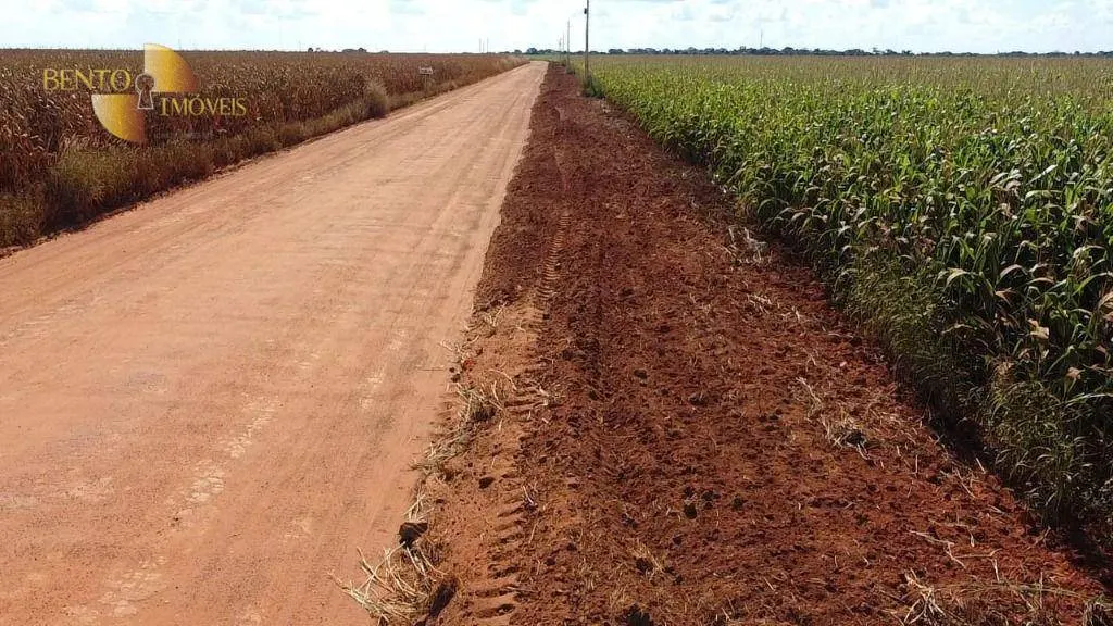 Fazenda à venda de 1.240 ha em Nova Mutum, MT, Brasil