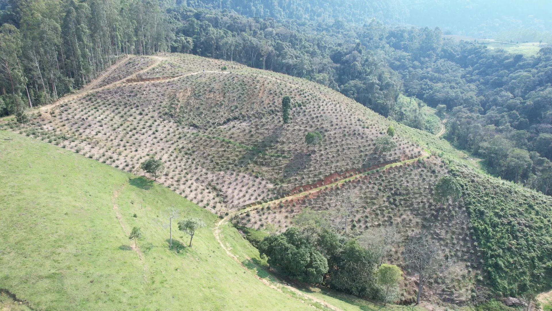 Terreno à venda de 20 ha em Vitor Meireles, SC, Brasil