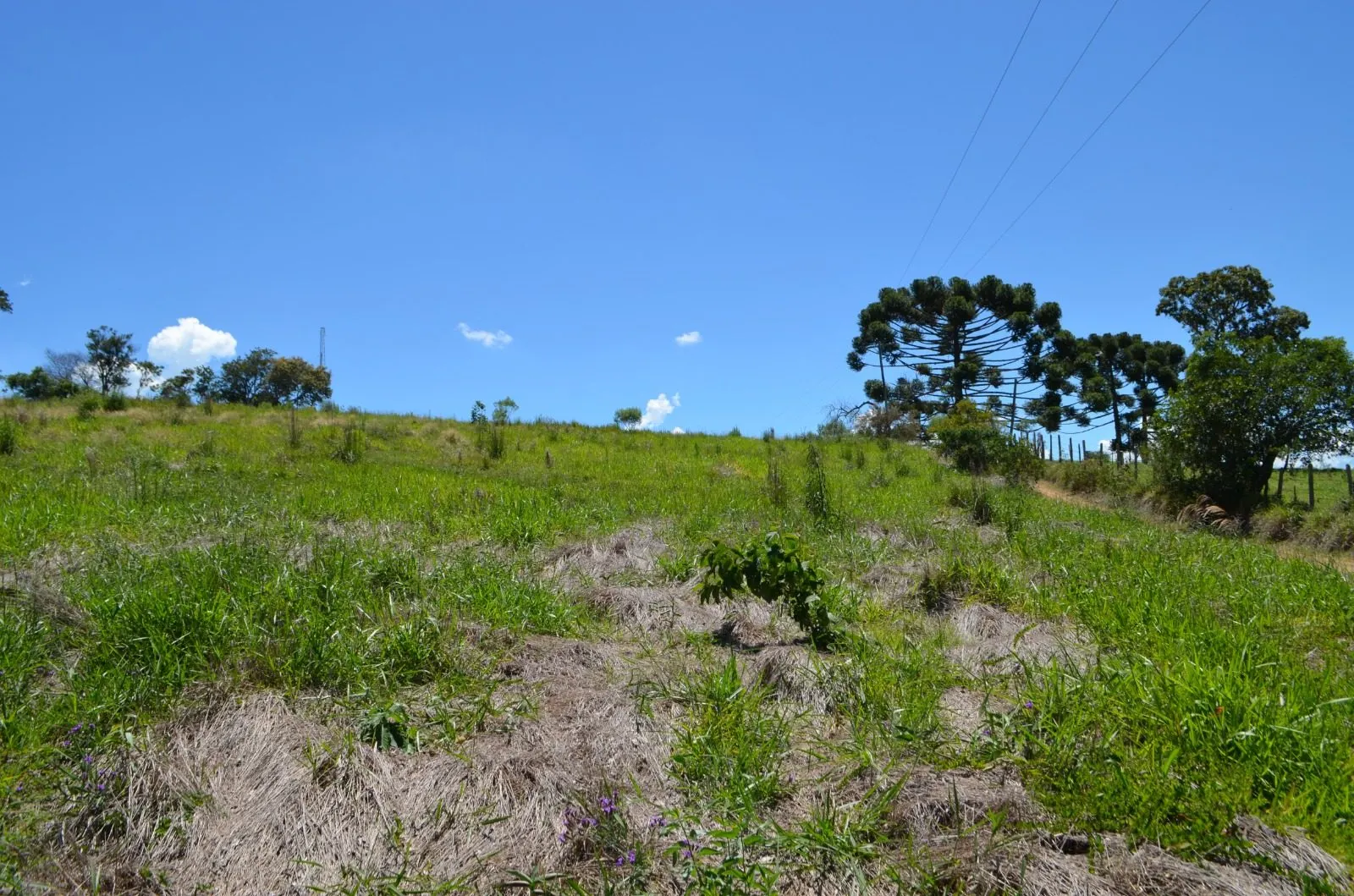Plot for sale of 12 acres in Cunha, SP, Brazil