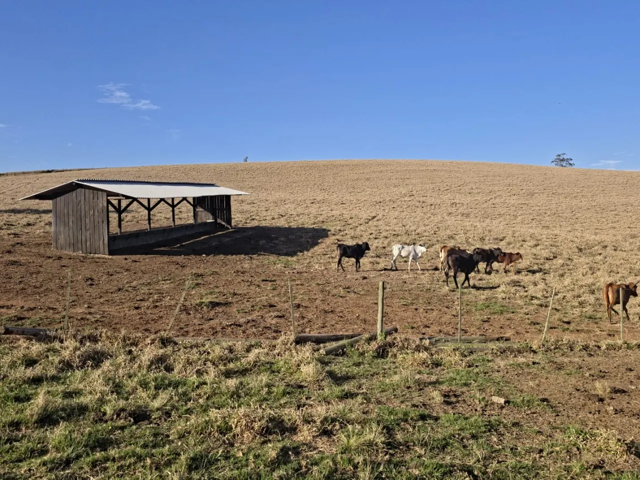 Fazenda à venda de 171 ha em Capão Bonito, SP, Brasil