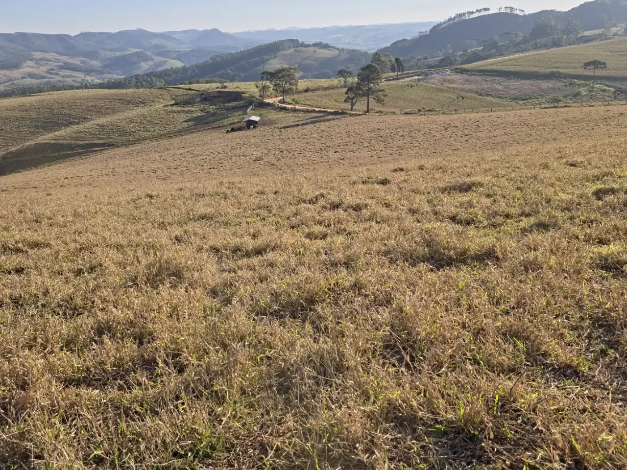 Fazenda à venda de 171 ha em Capão Bonito, SP, Brasil