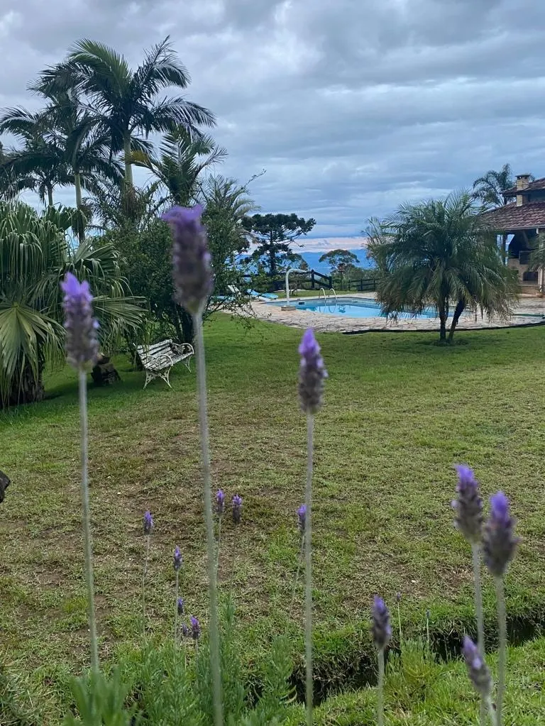 Small farm for sale of 5 acres in Piquete, SP, Brazil