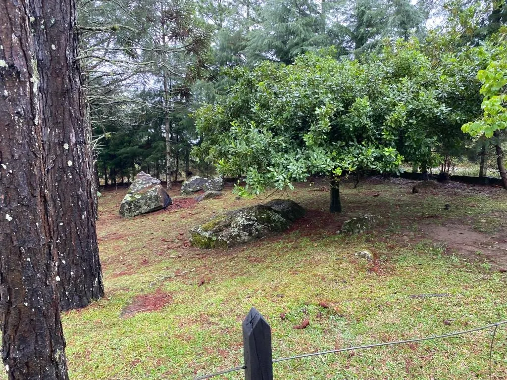 Small farm for sale of 5 acres in Piquete, SP, Brazil