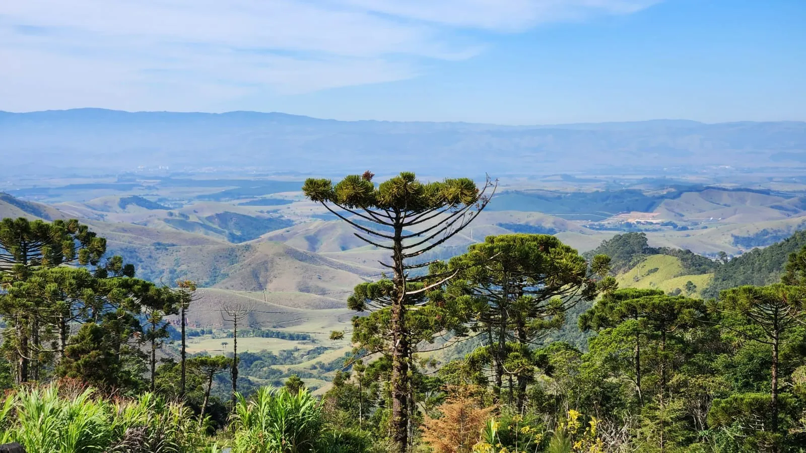 Small farm for sale of 5 acres in Piquete, SP, Brazil