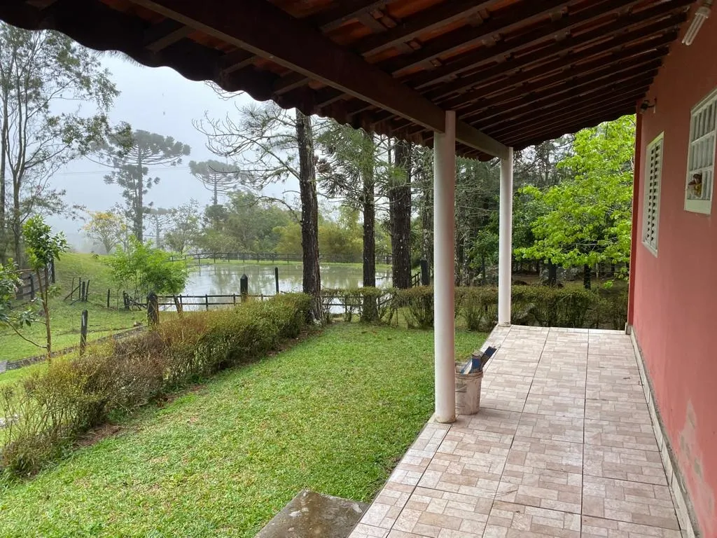 Small farm for sale of 5 acres in Piquete, SP, Brazil