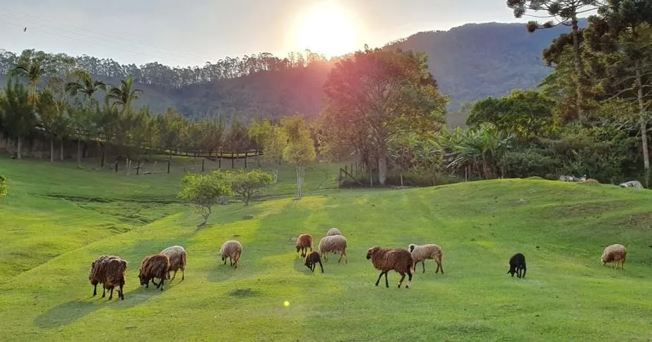 Small farm for sale of 5 acres in Piquete, SP, Brazil