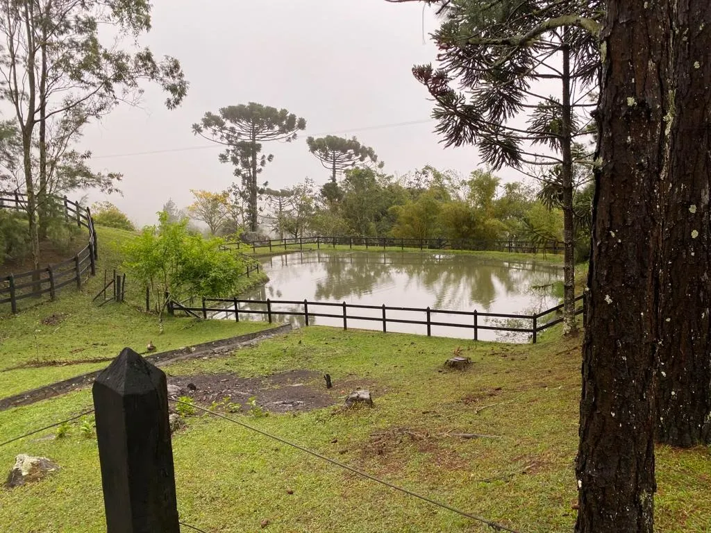 Small farm for sale of 5 acres in Piquete, SP, Brazil
