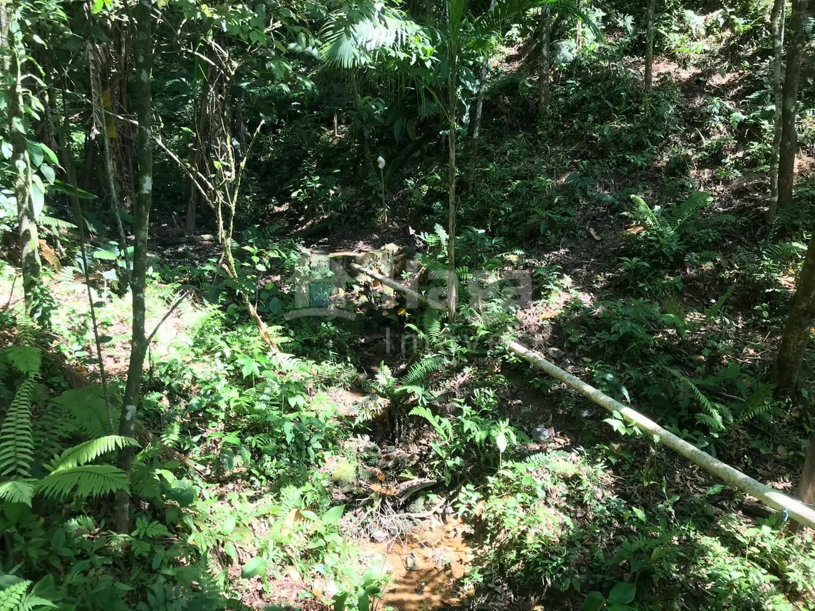Fazenda à venda de 4 ha em Guabiruba, SC, Brasil