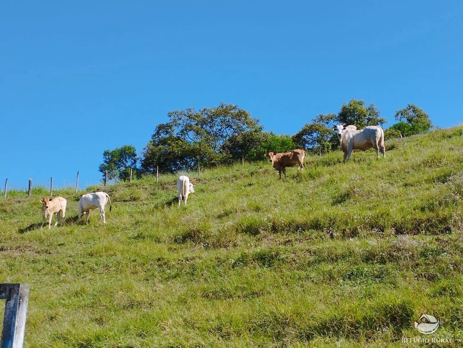 Sítio à venda de 7 ha em São José dos Campos, SP, Brasil
