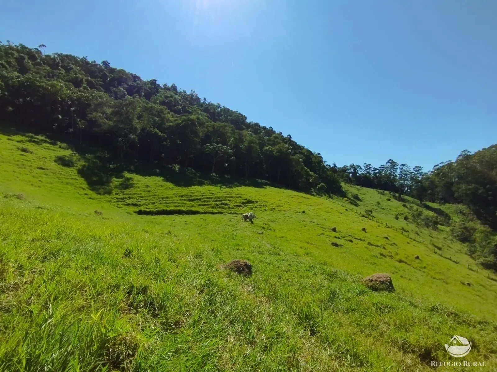 Sítio à venda de 7 ha em São José dos Campos, SP, Brasil