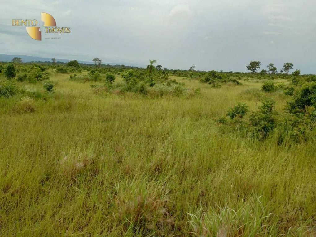 Fazenda à venda de 591 ha em Vila Bela da Santíssima Trindade, MT, Brasil