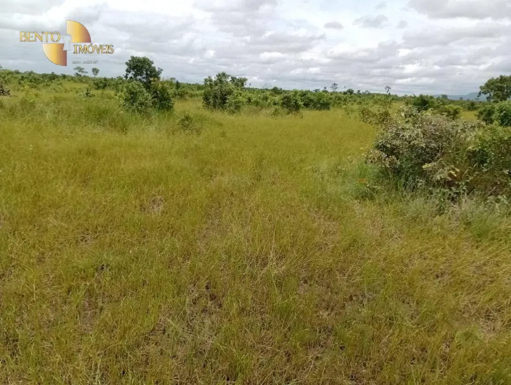 Fazenda à venda de 591 ha em Vila Bela da Santíssima Trindade, MT, Brasil