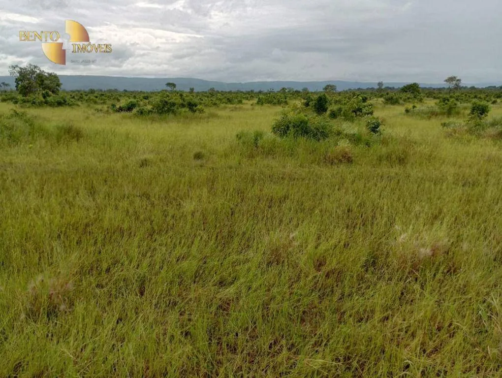Fazenda à venda de 591 ha em Vila Bela da Santíssima Trindade, MT, Brasil