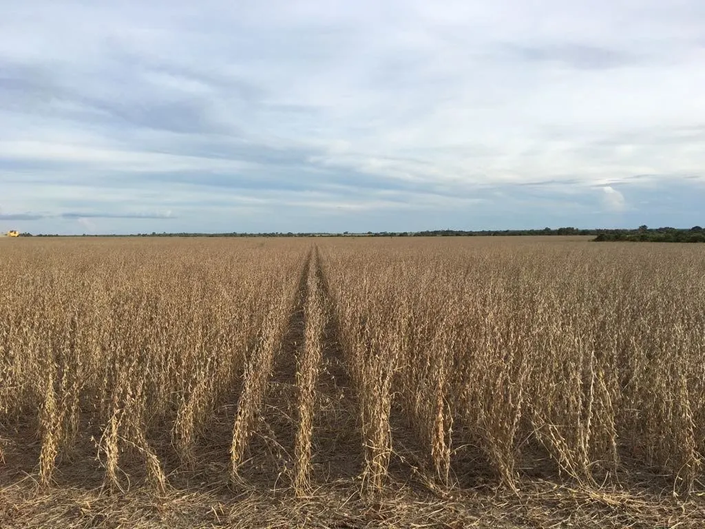 Fazenda à venda de 3.308 ha em Cocalinho, MT, Brasil