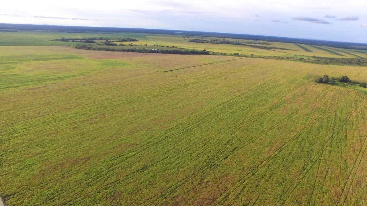 Fazenda à venda de 3.308 ha em Cocalinho, MT, Brasil