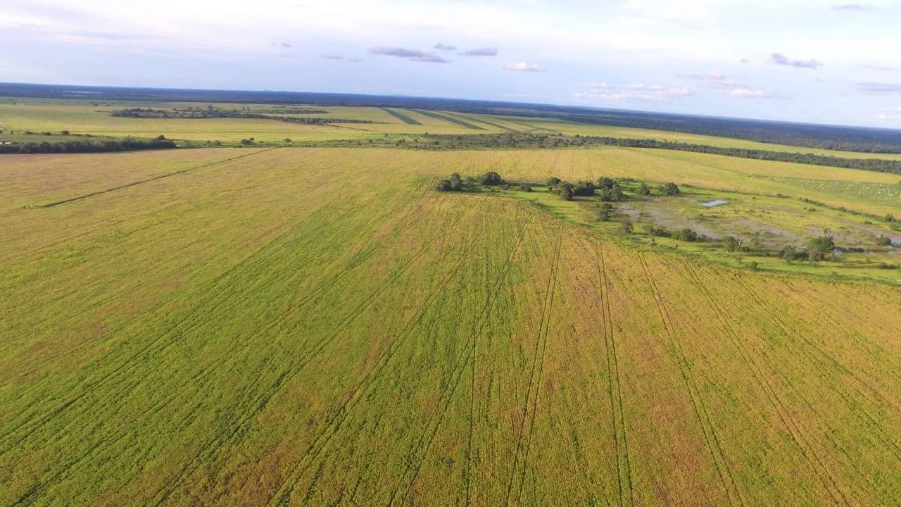 Fazenda à venda de 3.308 ha em Cocalinho, MT, Brasil
