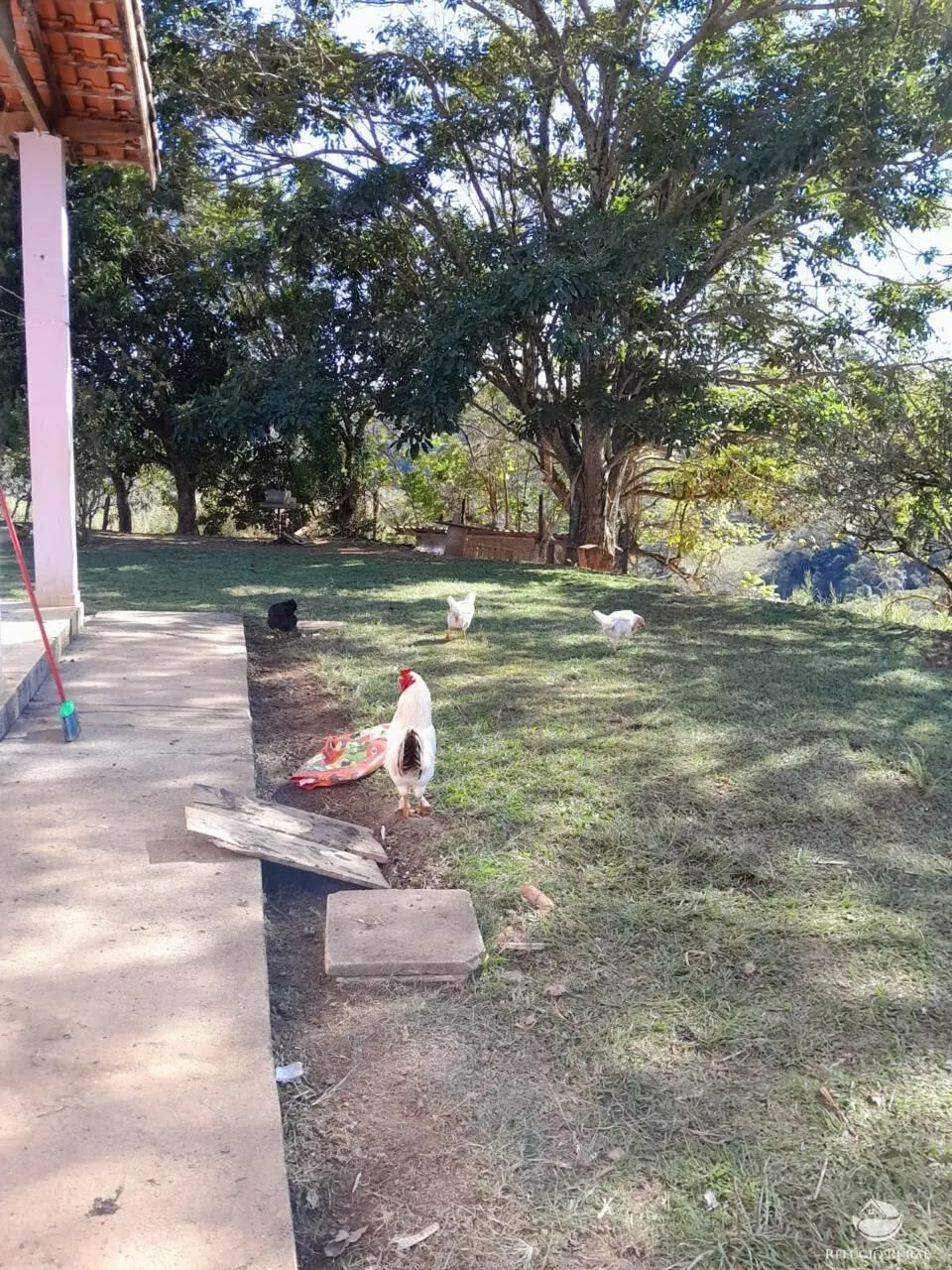 Small farm for sale of 30 acres in São José dos Campos, SP, Brazil
