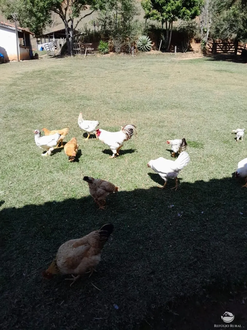 Small farm for sale of 30 acres in São José dos Campos, SP, Brazil