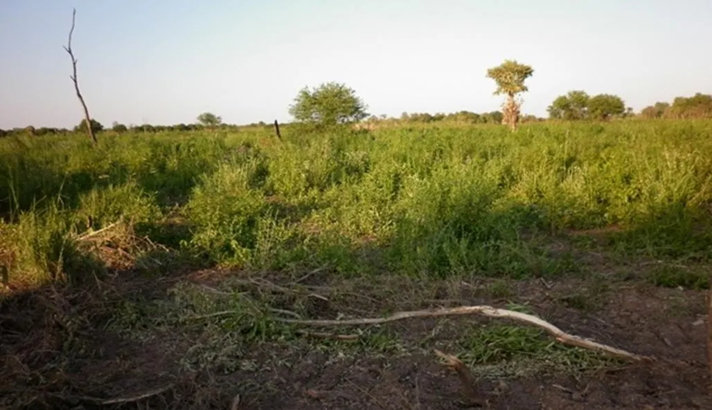 Fazenda à venda de 14.140 ha em Fortín Boquerón, Paraguai
