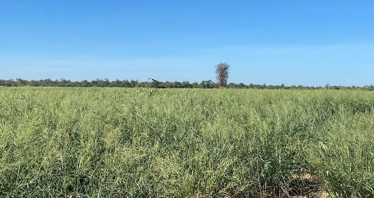 Fazenda à venda de 14.140 ha em Fortín Boquerón, Paraguai