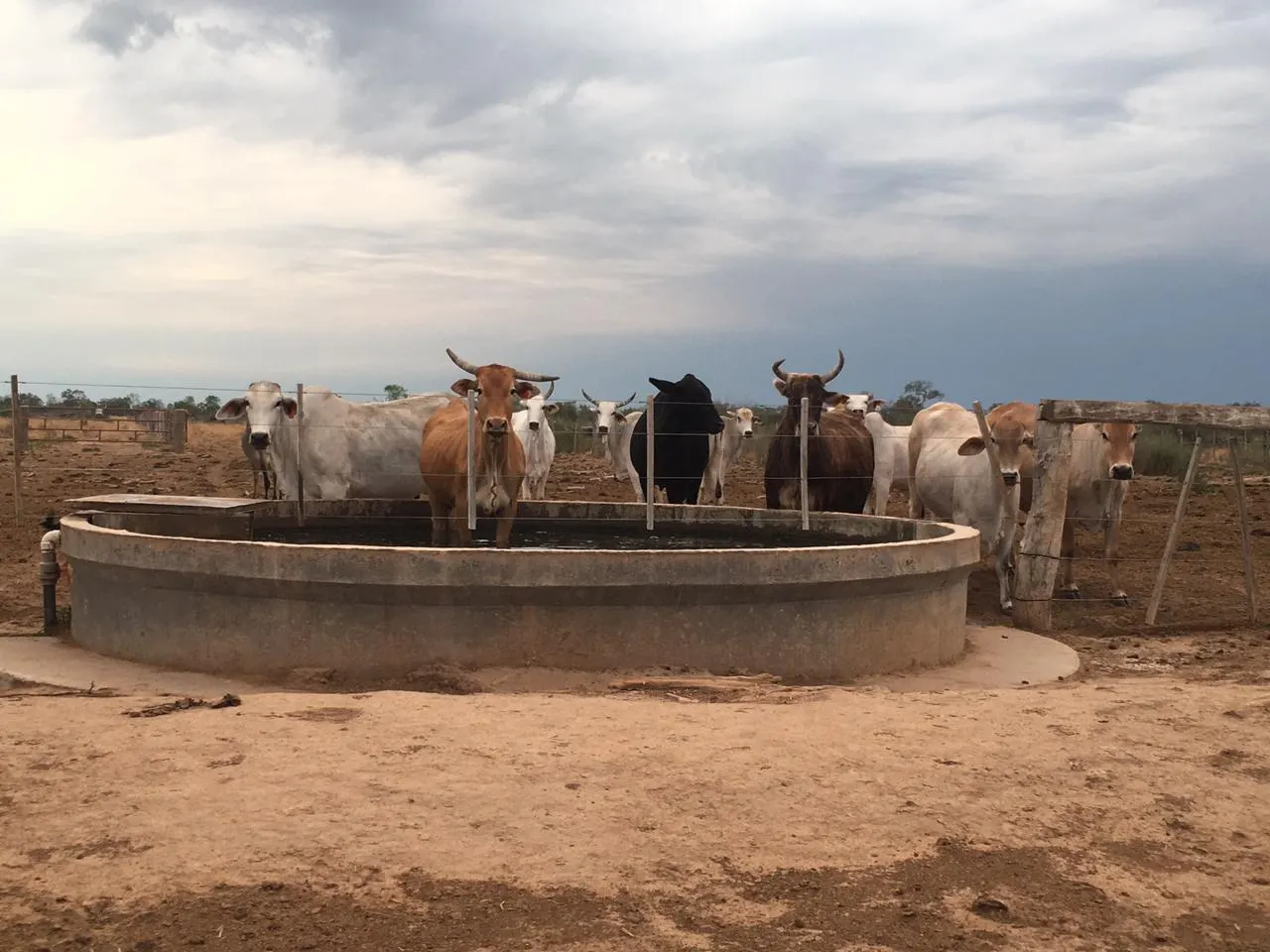 Fazenda à venda de 14.140 ha em Fortín Boquerón, Paraguai