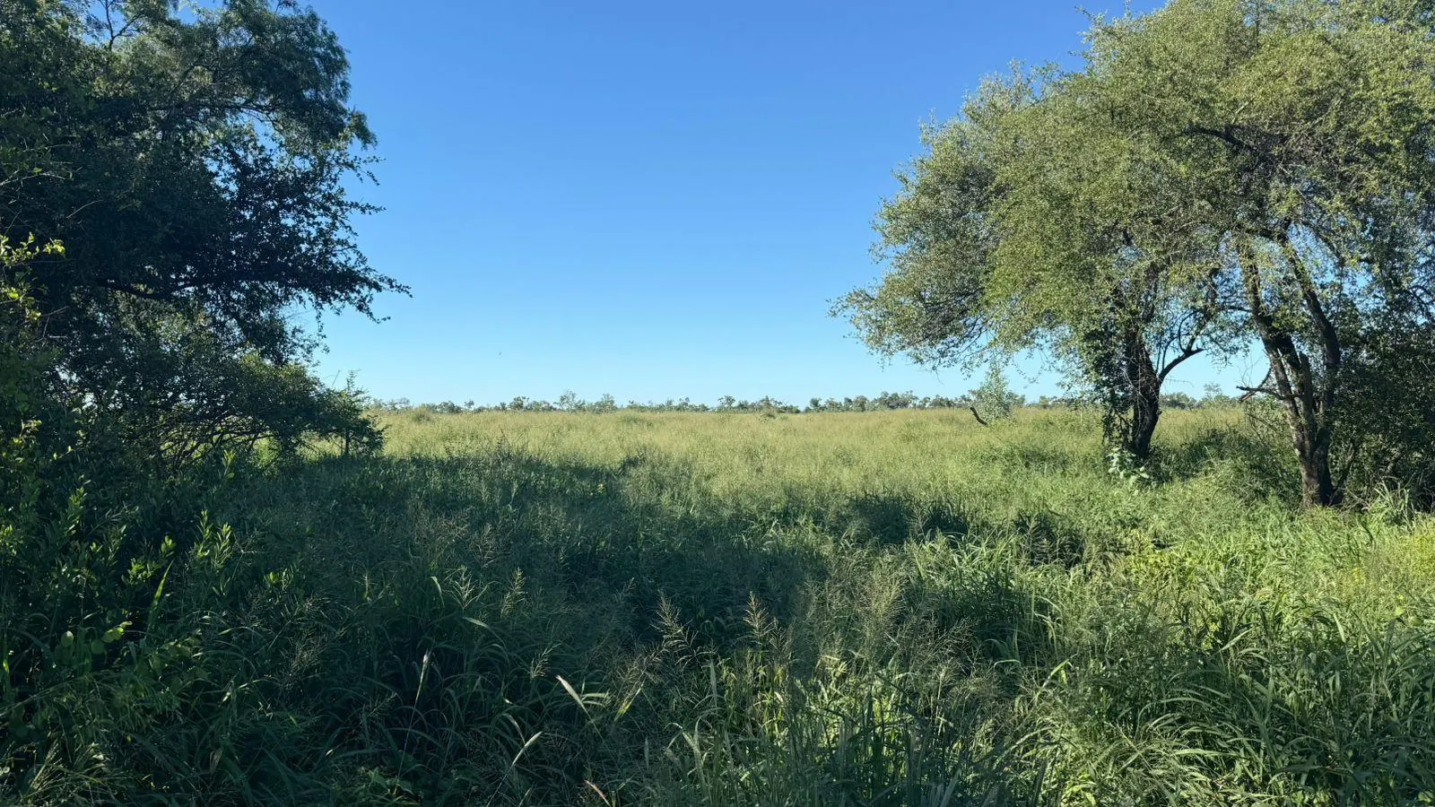 Fazenda à venda de 14.140 ha em Fortín Boquerón, Paraguai