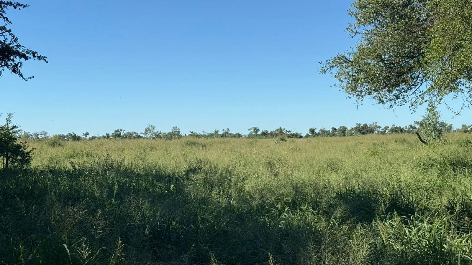 Fazenda à venda de 14.140 ha em Fortín Boquerón, Paraguai