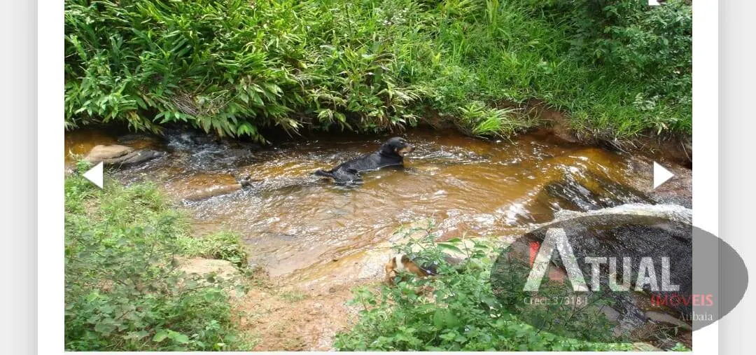Chácara à venda de 3.000 m² em Rio Preto, MG, Brasil