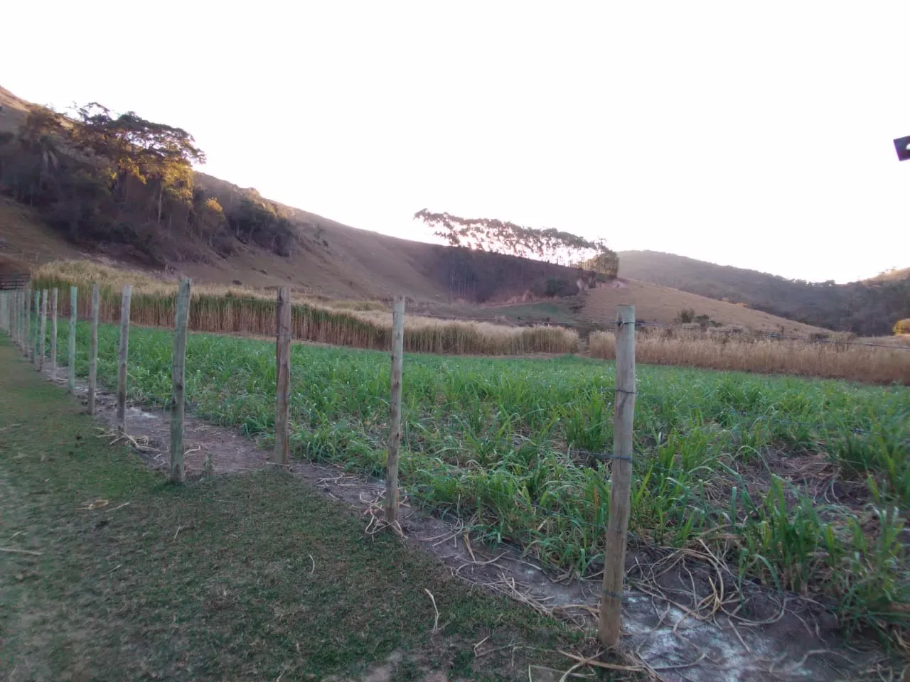 Fazenda à venda de 121 ha em Cunha, SP, Brasil