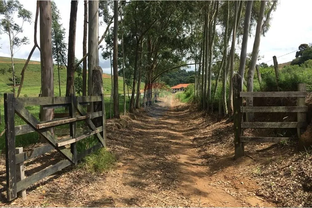 Fazenda à venda de 180 ha em Socorro, SP, Brasil