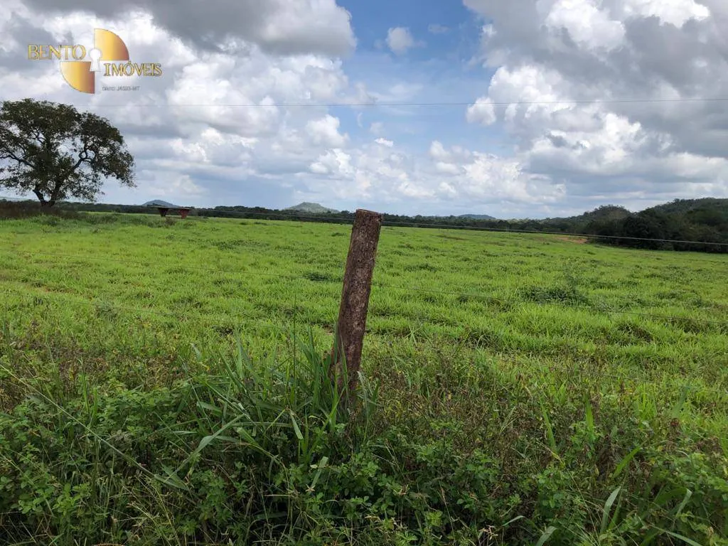 Fazenda à venda e para Arrendar de 10.890 ha em Paragominas, PA, Brasil