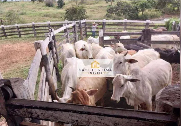 Farm for sale of 2,990 acres in Nova Brasilândia, MT, Brazil