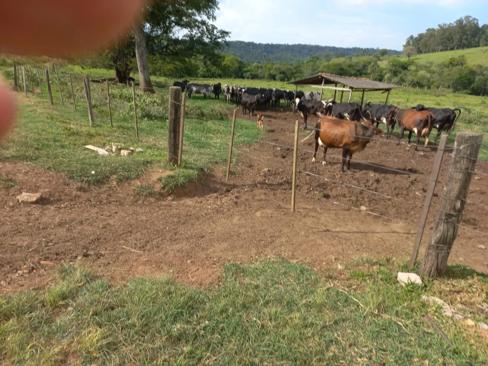 Sítio à venda de 82 ha em Angatuba, SP, Brasil