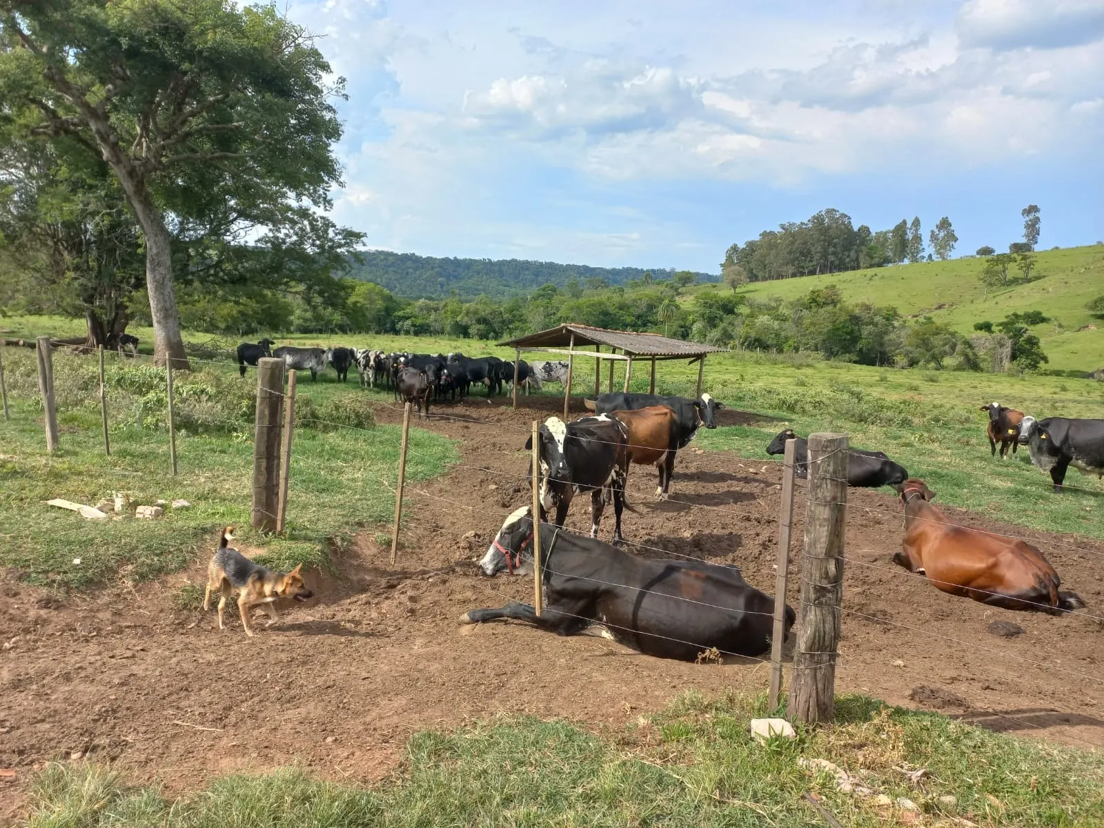 Sítio à venda de 82 ha em Angatuba, SP, Brasil