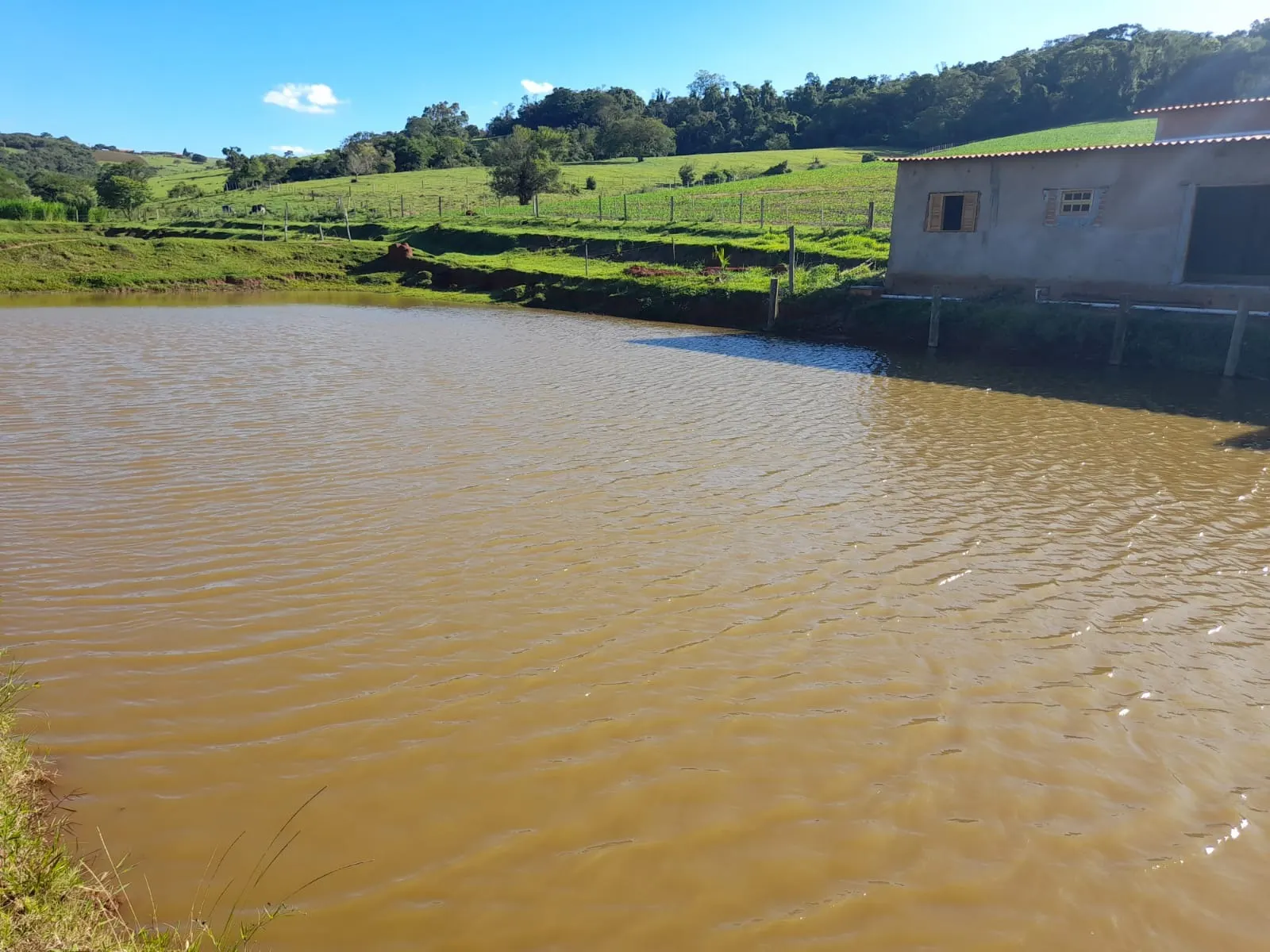 Sítio à venda de 82 ha em Angatuba, SP, Brasil