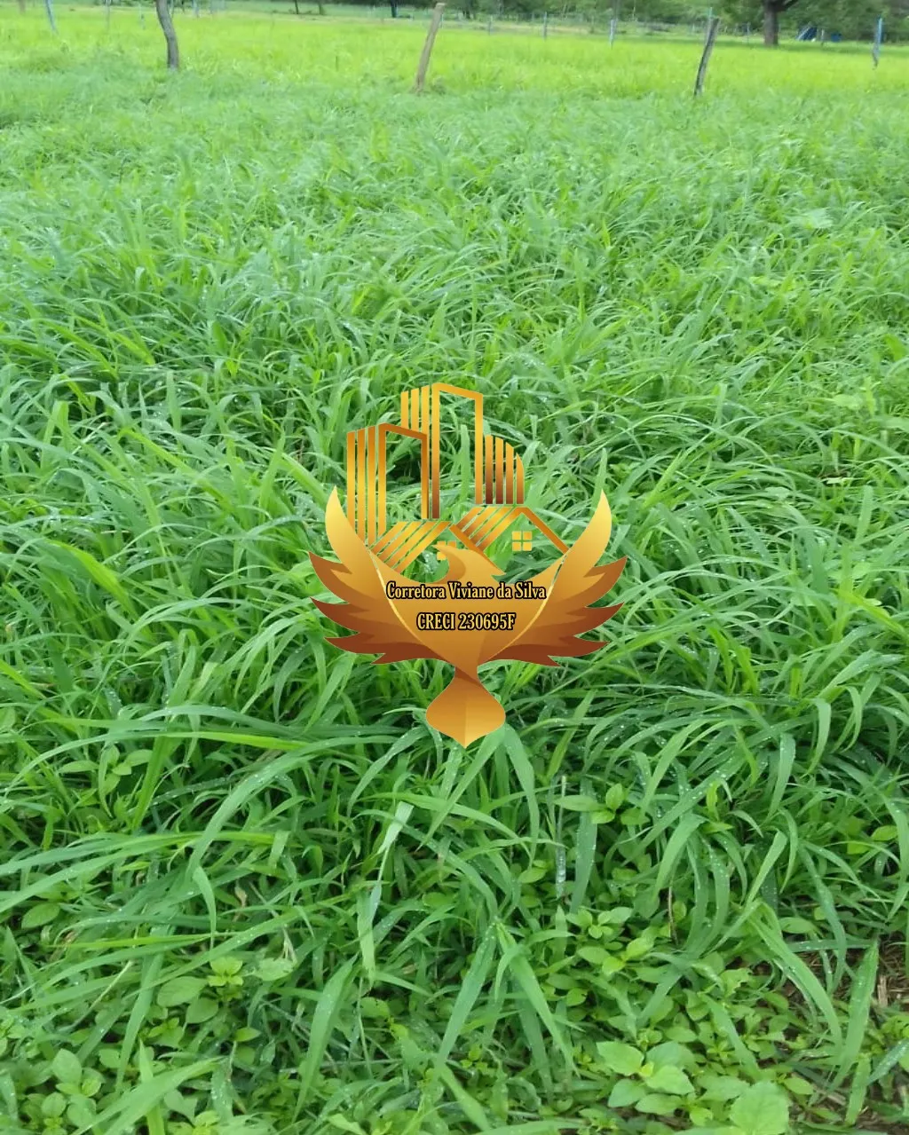 Terreno à venda de 31 ha em Cocos, BA, Brasil