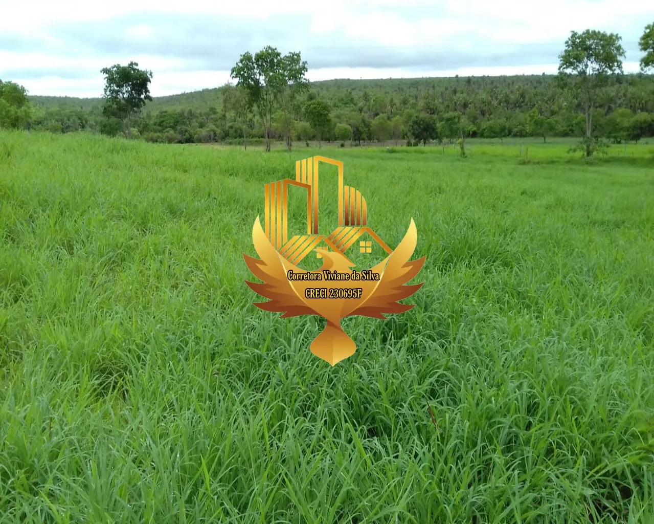 Plot for sale of 76 acres in Cocos, BA, Brazil