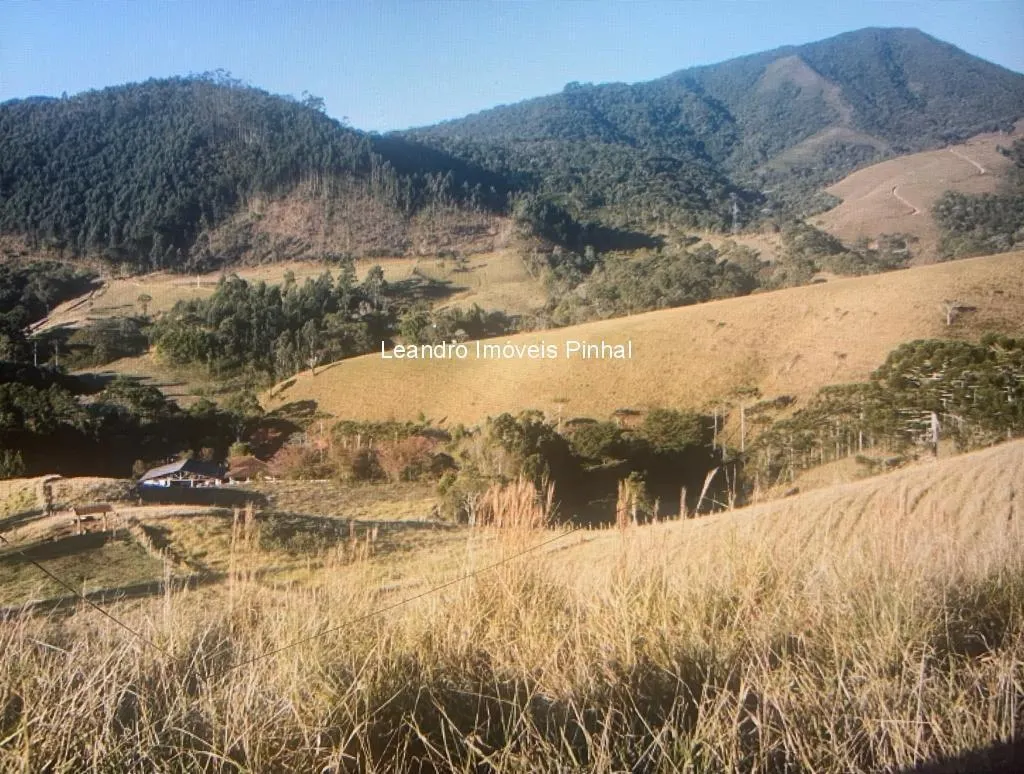 Fazenda à venda de 145 ha em Santo Antônio do Pinhal, SP, Brasil